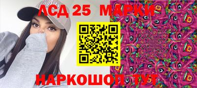 гашик Котовск